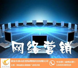 星際網(wǎng)絡(luò) 專業(yè)互聯(lián)網(wǎng)營(yíng)銷與銷售解決方案提供商